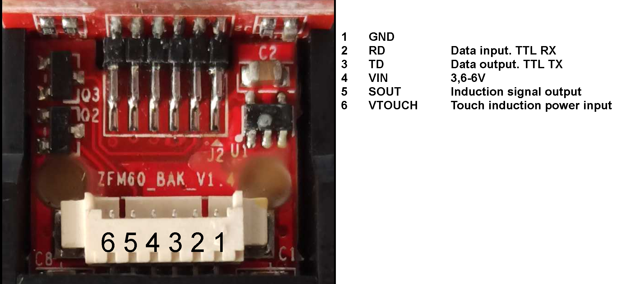 zfm60 bak v1_4-pinout